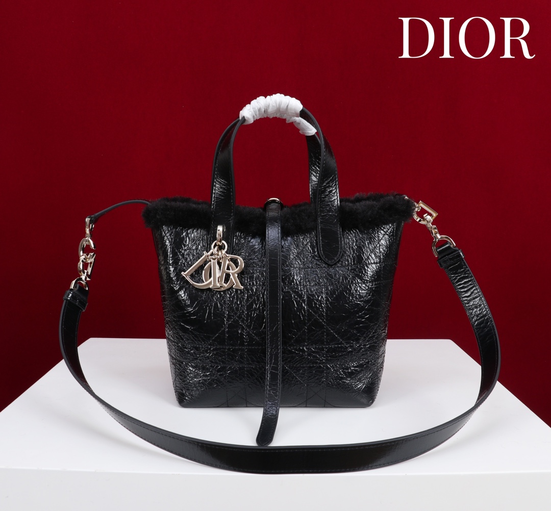 [빈판] 디올 뚜주흐 버티컬 토트백 18.5*18.5*12